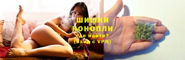 стаф Белоозёрский