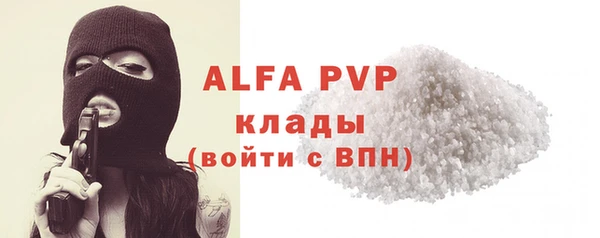 дмт Белокуриха