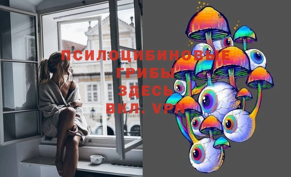 дмт Белокуриха